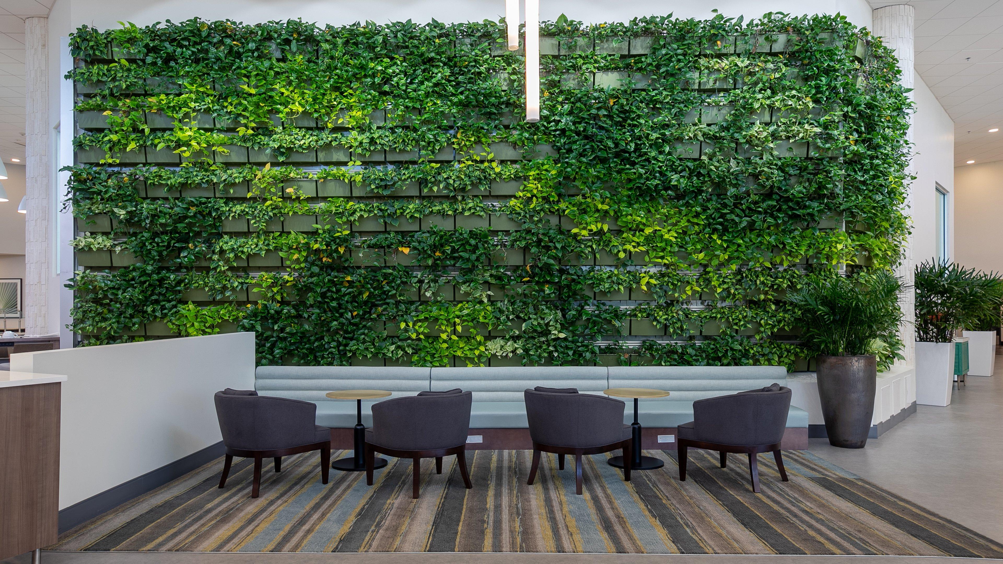 Holiday Inn Panama City By Ihg Екстер'єр фото